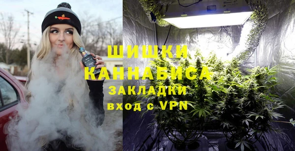 стаф Богородск