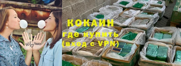 стаф Богородск