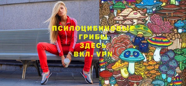 стаф Богородск