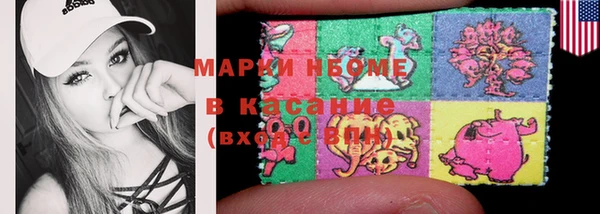 стаф Богородск