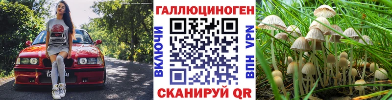 Псилоцибиновые грибы Psilocybine cubensis  кракен ТОР  Щучье 